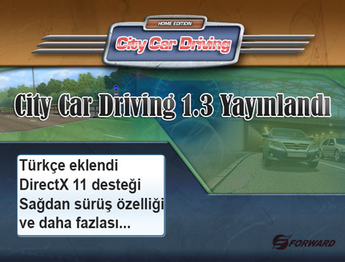 city-car-driving-1-3
