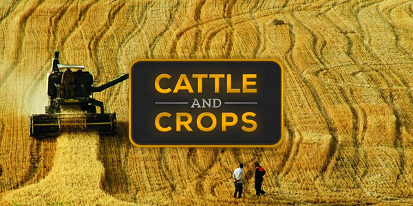 cattle-and-crops-isci-sistemi